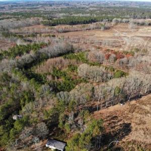 Photo of SOLD!  17 Acres of Hunting Land For Sale in Warren County NC!