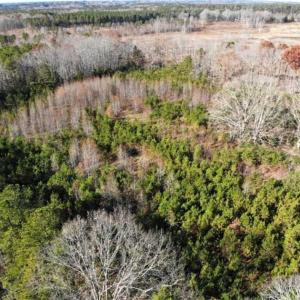 Photo of SOLD!  17 Acres of Hunting Land For Sale in Warren County NC!