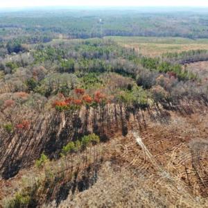 Photo of SOLD!  17 Acres of Hunting Land For Sale in Warren County NC!