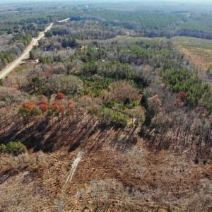 Photo of SOLD!  17 Acres of Hunting Land For Sale in Warren County NC!
