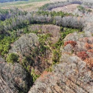 Photo of SOLD!  17 Acres of Hunting Land For Sale in Warren County NC!