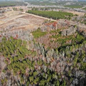 Photo of SOLD!  17 Acres of Hunting Land For Sale in Warren County NC!