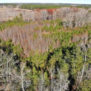 Photo of SOLD!  17 Acres of Hunting Land For Sale in Warren County NC!