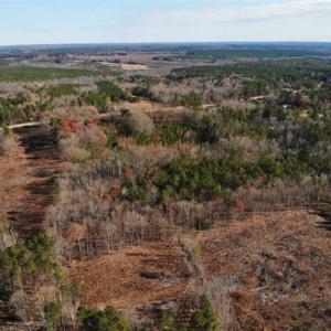 Photo of SOLD!  17 Acres of Hunting Land For Sale in Warren County NC!