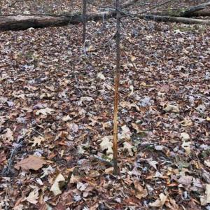 Photo of SOLD!  17 Acres of Hunting Land For Sale in Warren County NC!