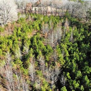 Photo of SOLD!  17 Acres of Hunting Land For Sale in Warren County NC!
