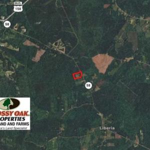 Photo of SOLD!  17 Acres of Hunting Land For Sale in Warren County NC!