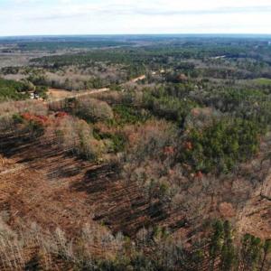 Photo of SOLD!  17 Acres of Hunting Land For Sale in Warren County NC!