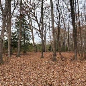 Photo of SOLD!  17 Acres of Hunting Land For Sale in Warren County NC!