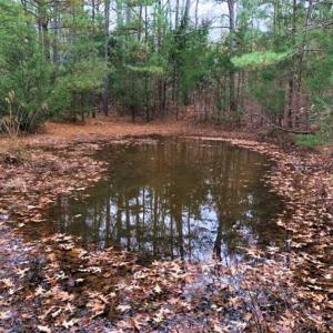 Photo of SOLD!  17 Acres of Hunting Land For Sale in Warren County NC!