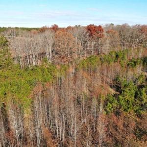 Photo of SOLD!  17 Acres of Hunting Land For Sale in Warren County NC!