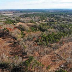 Photo of SOLD!  17 Acres of Hunting Land For Sale in Warren County NC!