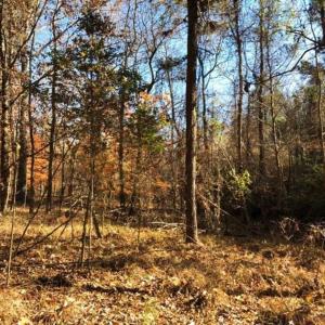 Photo of 10 Acres of Residential Land For Sale in Chowan County NC!