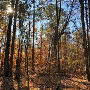 Photo of 10 Acres of Residential Land For Sale in Chowan County NC!