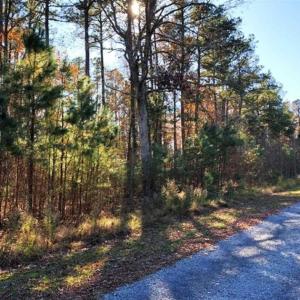 Photo of 10 Acres of Residential Land For Sale in Chowan County NC!