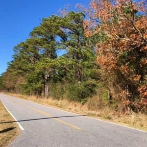 Photo of 10 Acres of Residential Land For Sale in Chowan County NC!