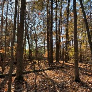 Photo of 10 Acres of Residential Land For Sale in Chowan County NC!