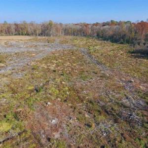 Photo of SOLD!!  18.78 Acres of Farm and Cut Timber Land For Sale in Craven County NC!