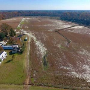 Photo of SOLD!!  18.78 Acres of Farm and Cut Timber Land For Sale in Craven County NC!