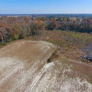 Photo of SOLD!!  18.78 Acres of Farm and Cut Timber Land For Sale in Craven County NC!