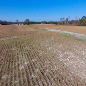 Photo of SOLD!!  18.78 Acres of Farm and Cut Timber Land For Sale in Craven County NC!