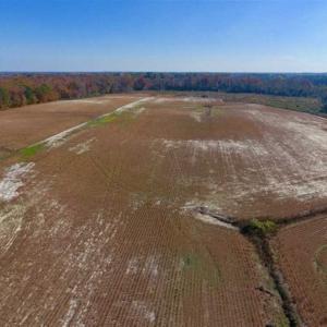 Photo of SOLD!!  18.78 Acres of Farm and Cut Timber Land For Sale in Craven County NC!