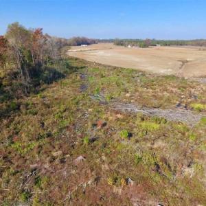 Photo of SOLD!!  18.78 Acres of Farm and Cut Timber Land For Sale in Craven County NC!