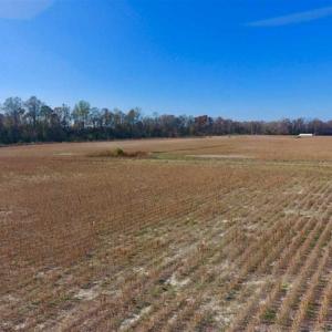 Photo of SOLD!!  18.78 Acres of Farm and Cut Timber Land For Sale in Craven County NC!