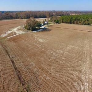 Photo of SOLD!!  18.78 Acres of Farm and Cut Timber Land For Sale in Craven County NC!