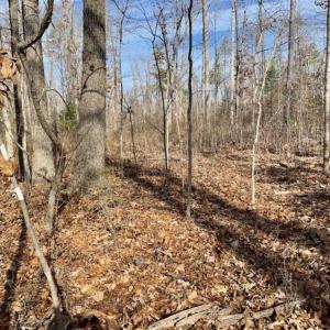 Photo of SOLD!!  253 Acres of Farm and Timber Land For Sale in Orange County NC!