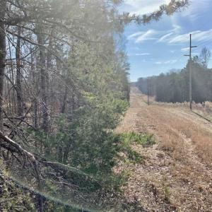 Photo of SOLD!!  253 Acres of Farm and Timber Land For Sale in Orange County NC!