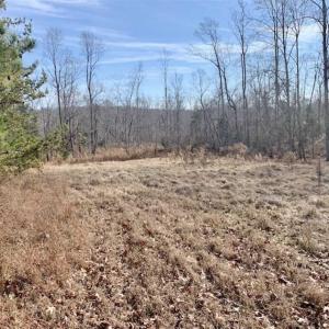 Photo of SOLD!!  253 Acres of Farm and Timber Land For Sale in Orange County NC!