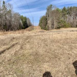 Photo of SOLD!!  253 Acres of Farm and Timber Land For Sale in Orange County NC!