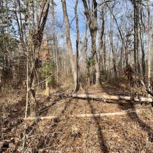 Photo of SOLD!!  253 Acres of Farm and Timber Land For Sale in Orange County NC!