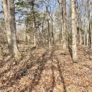 Photo of SOLD!!  253 Acres of Farm and Timber Land For Sale in Orange County NC!