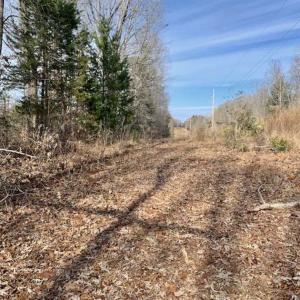 Photo of SOLD!!  253 Acres of Farm and Timber Land For Sale in Orange County NC!