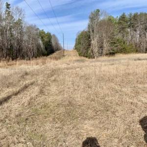 Photo of SOLD!!  253 Acres of Farm and Timber Land For Sale in Orange County NC!