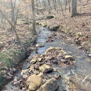 Photo of SOLD!!  253 Acres of Farm and Timber Land For Sale in Orange County NC!