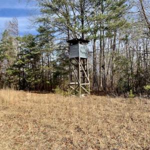 Photo of SOLD!!  253 Acres of Farm and Timber Land For Sale in Orange County NC!