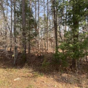 Photo of SOLD!!  253 Acres of Farm and Timber Land For Sale in Orange County NC!
