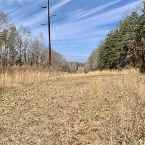 Photo of SOLD!!  253 Acres of Farm and Timber Land For Sale in Orange County NC!