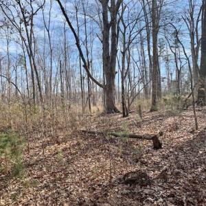 Photo of SOLD!!  253 Acres of Farm and Timber Land For Sale in Orange County NC!