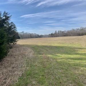 Photo of SOLD!!  253 Acres of Farm and Timber Land For Sale in Orange County NC!