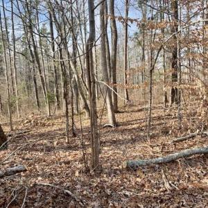 Photo of SOLD!!  253 Acres of Farm and Timber Land For Sale in Orange County NC!