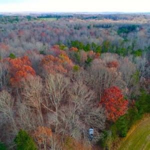 Photo of SOLD!!  253 Acres of Farm and Timber Land For Sale in Orange County NC!