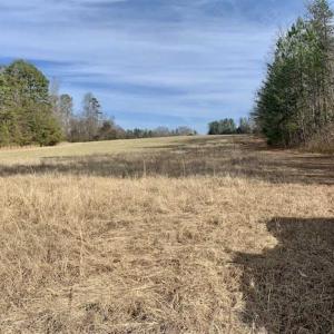 Photo of SOLD!!  253 Acres of Farm and Timber Land For Sale in Orange County NC!
