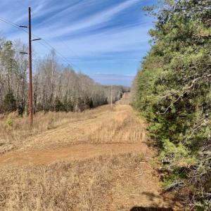 Photo of SOLD!!  253 Acres of Farm and Timber Land For Sale in Orange County NC!