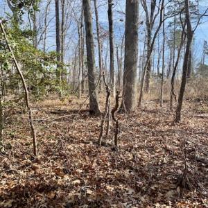 Photo of SOLD!!  253 Acres of Farm and Timber Land For Sale in Orange County NC!