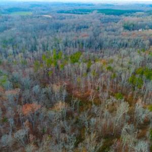 Photo of SOLD!!  253 Acres of Farm and Timber Land For Sale in Orange County NC!