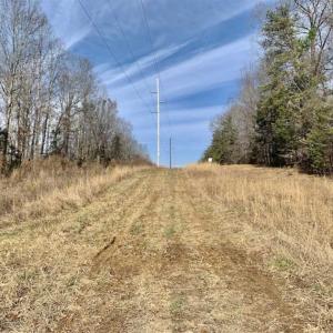 Photo of SOLD!!  253 Acres of Farm and Timber Land For Sale in Orange County NC!
